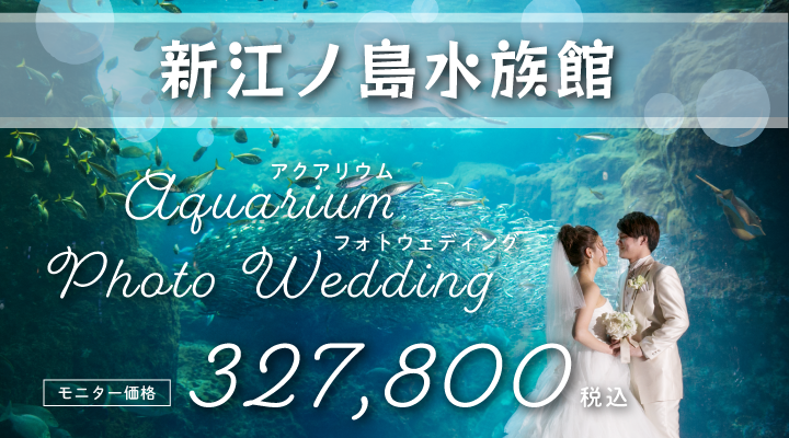 新江ノ島水族館｜Aquarium photo wedding